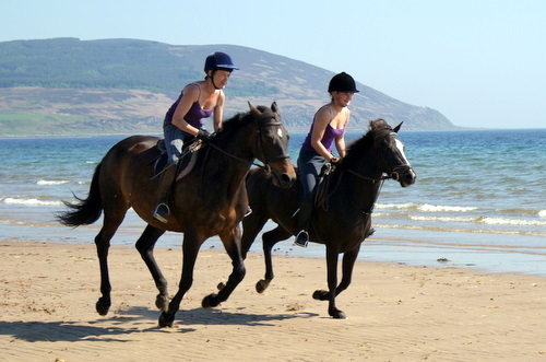 Cairnhouse Stables